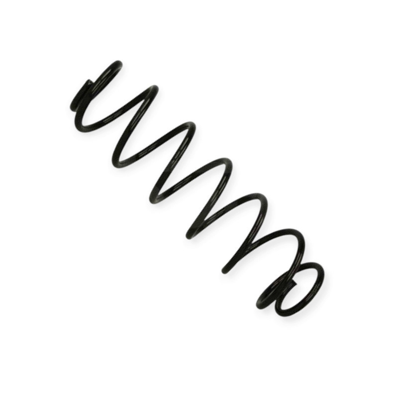 Пружина Renault Laguna II 01- задняя Мукачево - изображение 1