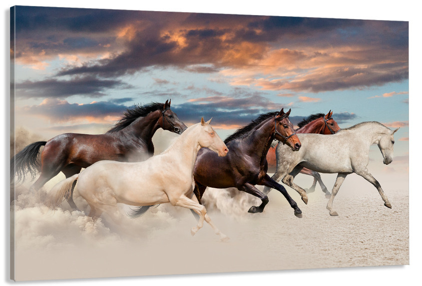 Картина полотно у вітальню / спальню  Природа Коней   MLP_380 ( 60х30см ) 70x140 см Київ - фото 1