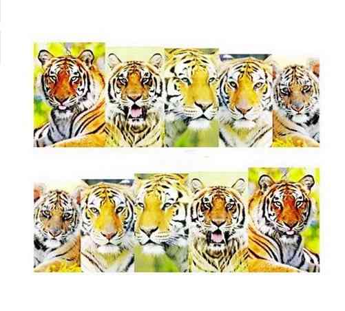 Наклейки для нігтів Київ