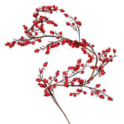 Декоративна гілка YES! Fun з червоними ягодами, 150 см (973492) Вінниця
