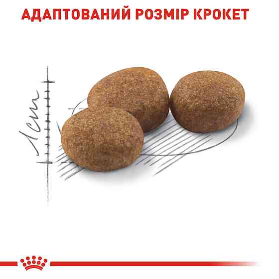Корм для дорослих стерилізованих котів ROYAL CANIN STERILISED 0.4 кг Київ