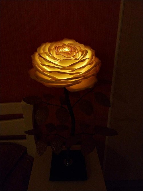 Мини-торшер_Медная красавица Днепр - изображение 5