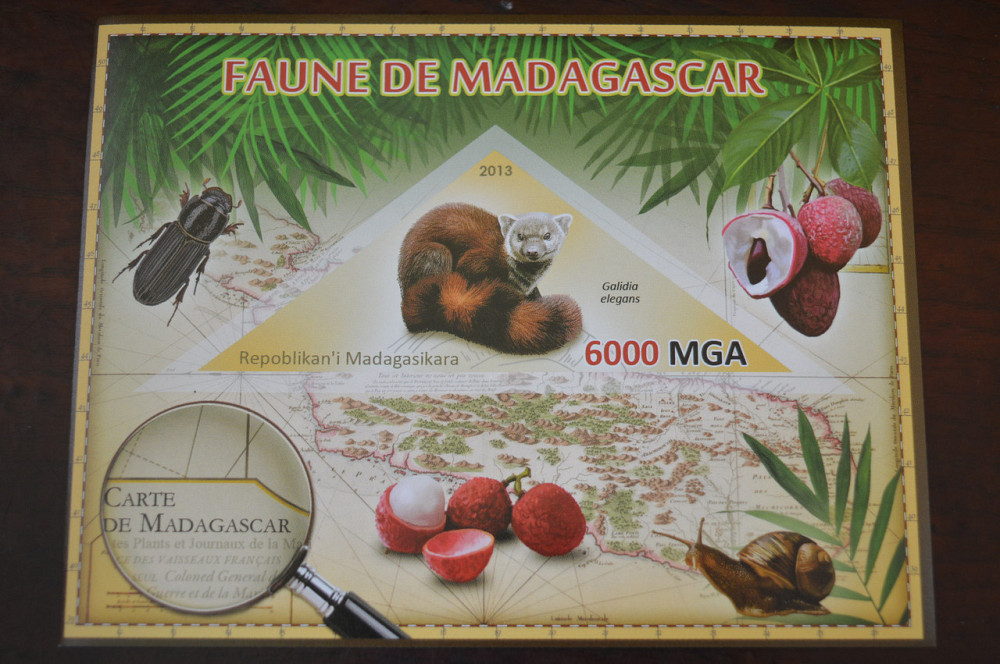 Мадагаскар. Фауна. Личности. Блок. 2014 р. (А-34) Полтава - фото 1