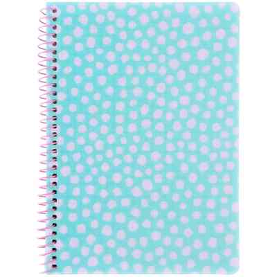 Блокнот Axent на спіралі А5 80 аркушів, клітинка, пластикова обкладинка, блакитний (8462-2-A) Вінниця