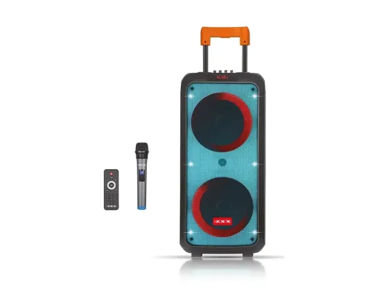 Акустична переносна колонка ZXX-1095 80Вт 2x8" TWS/FM/USB/TF/BT/REC/LED/MIC/ДК Київ