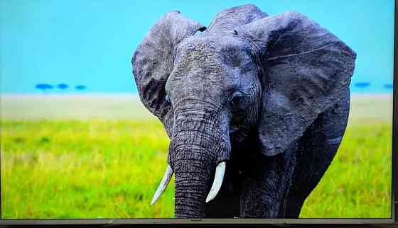 Телевізор Panasonic TX — 65DXW784 4K Pro HDR 3D/20Hz. / TOP/ 2017 Київ