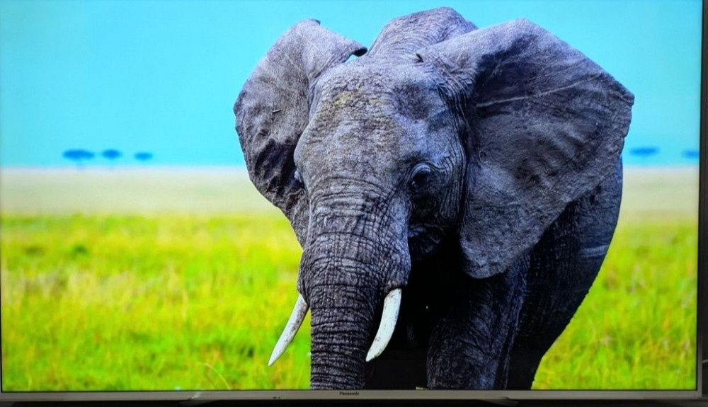 Телевизор Panasonic TX -65DXW784 4K Pro HDR 3D/ 120Hz. / TOP/ 2017 Киев - изображение 6