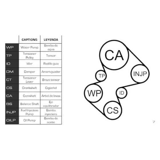 Ремкомплект Citroen Jumper, Jumpy, Berlingo 1.9D, TD (94-02) (ремінь, ролики, помпа) - ГРМ Мукачево