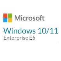 Операційна система Microsoft Windows 10/11 Enterprise E5 P1Y Annual License (CFQ7TTC0LFNW_0002_P1Y_A) Киев