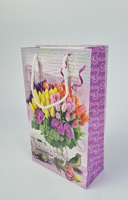 Паперовий пакет подарунковий Середній 17/26/8 (артSV-149) (12 шт.) Харків - фото 1