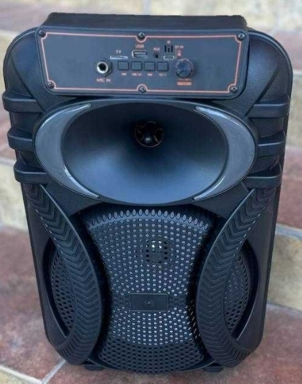 Портативная колонка аккумуляторная с 2️⃣ микрофономи. Харьков - изображение 5