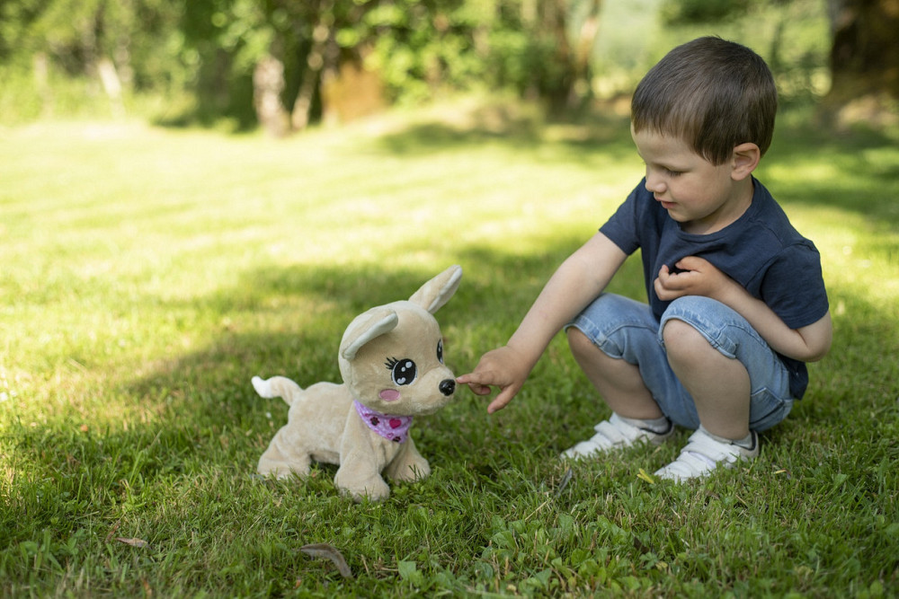 Интерактивная собачка Chi Chi Love Baby Boo, укр. язык, выполняет 12 команд (5893500) Киев - изображение 3