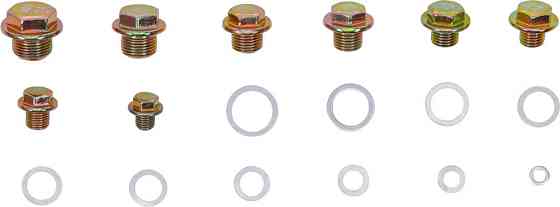 Набір маслозливних отворів з шайбами 534пр.(М10, М12-М16, М18, М20), в кейсі Одеса