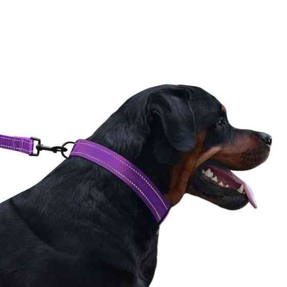 Нашийник для собак нейлоновий світловідбивний BronzeDog Active з пластиковою пряжею (фастекс) фіолетовий Одеса