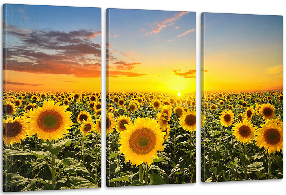 Модульна картина Природа Соняшники (53х100см) Art-51_3А Київ - фото 1
