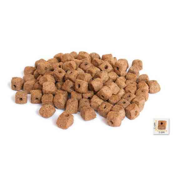BonaCibo Adult Dog Form (Бонасибо Едалт Дог Форм Курка Рис Анчоуси) корм для собак, що старіють/з зайвою вагою Запоріжжя