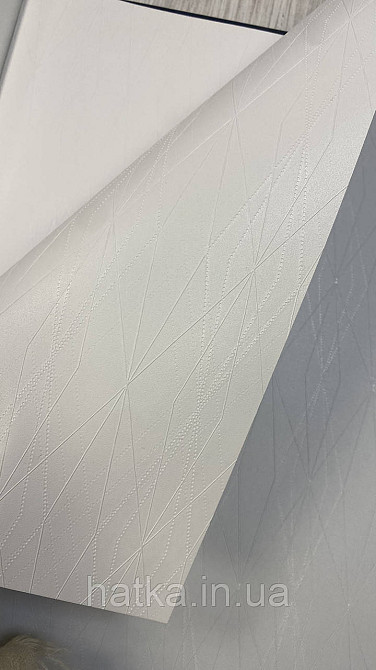 Шпалери метрові вінілові на флізеліні A.S.Creation Elite of Shades1.06x10 геометрія плоски сіточкою білий з беж 78654-4 Київ - фото 2