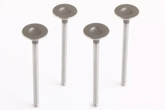 Клапана Lanos 1.6 AMP выпускные (4 шт.) Винница