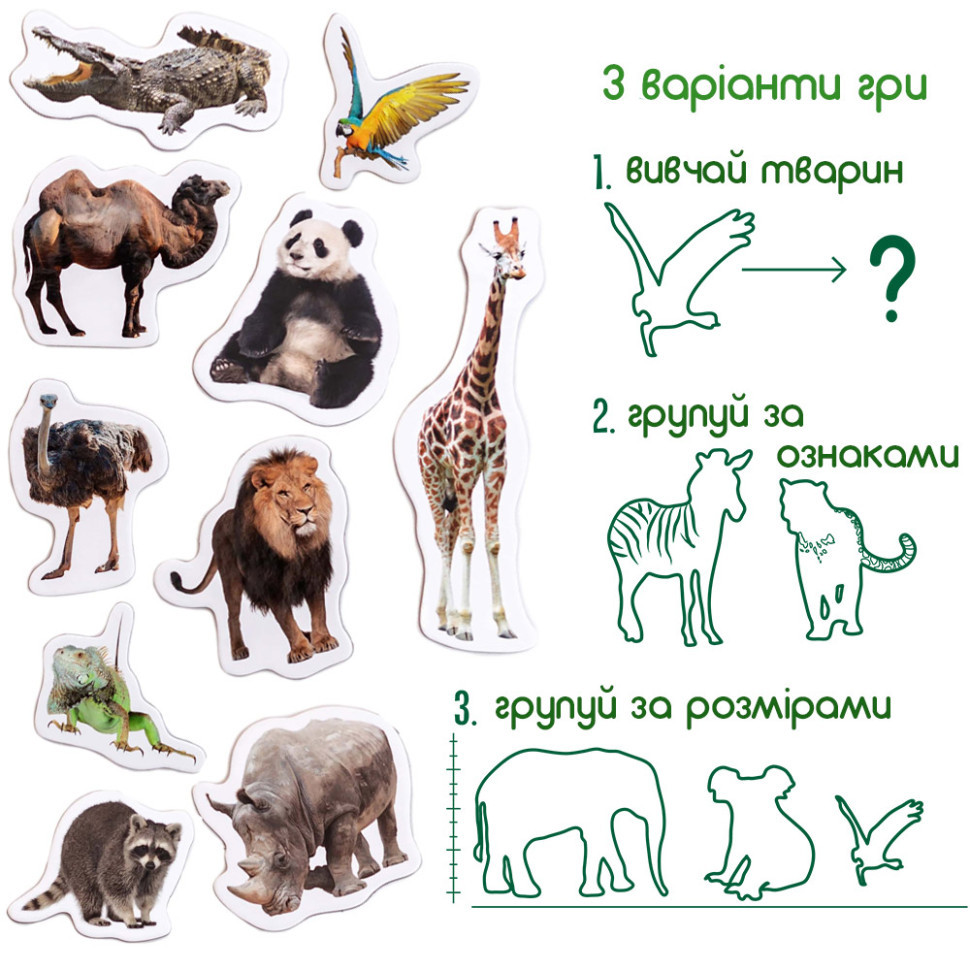 Набор магнитов 