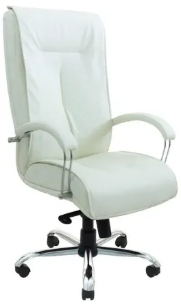 Офісне Крісло Керівника Richman Boston Fly 2200 Хром М2 AnyFix Білий Київ