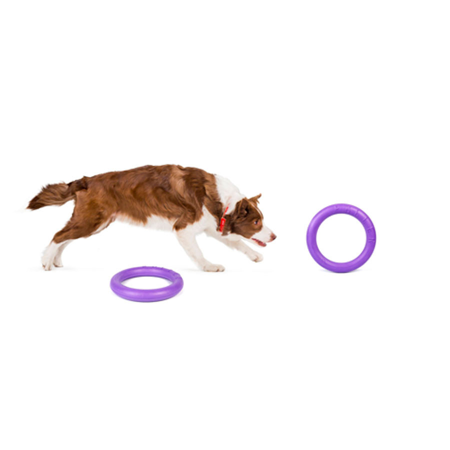 Тренувальний снаряд для собак PULLER Standard (діаметр 28см) Коломия - фото 2