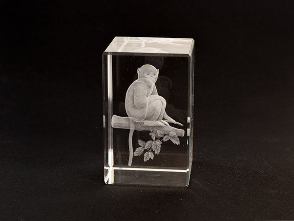 Фигурка Обезьяна голограмма в хрустале Киев - изображение 1