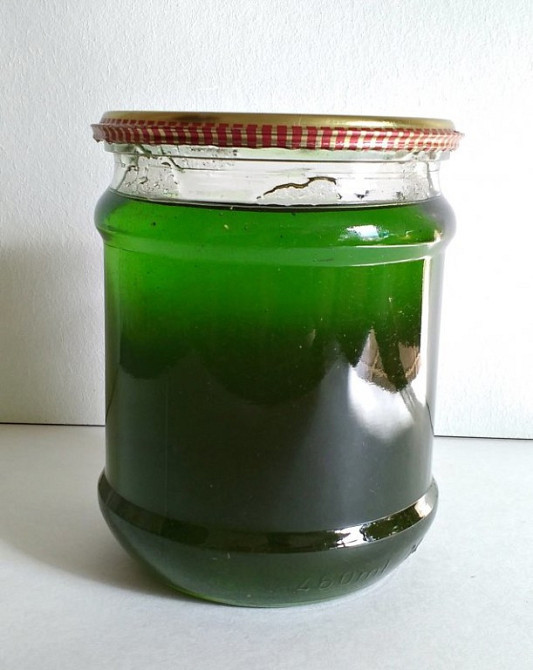 Варення з м'яти натуральне 0,5л Київ - фото 1