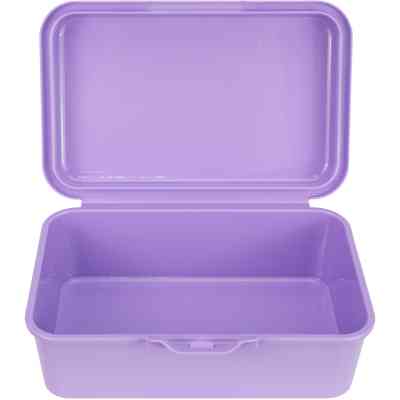 Ланч-бокс детский Economix SNACK 750 мл, сиреневый (E98382) Винница