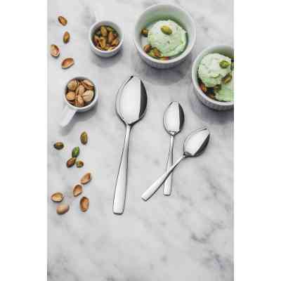 Десертная ложка Tramontina Amazonas 1 шт (63960/040) Винница