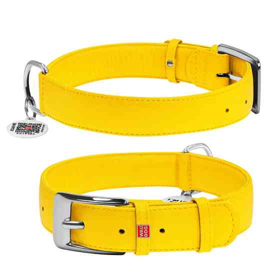 Нашийник для собак шкіряний WAUDOG Glamour з QR паспортом, без прикрас, Ш 35 мм, Дов 46-60 см ж Коломия