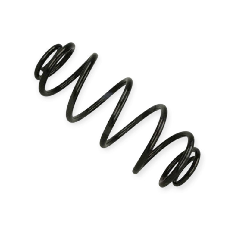 Пружина Renault Espace IV 02- передняя Мукачево - изображение 1