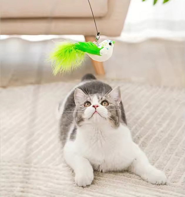 Игрушка для котика на палочке птичка с колокольчиком на присоске 90 см салатовый Киев - изображение 2