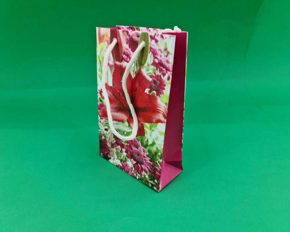 Пакет паперовий подарунковий малий 11/18/5 (арт М088) (12 шт.) Харків - фото 1