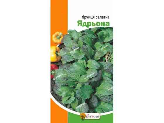 Горчица салатная Ядрьона (20 пачек) 1г ТМ ЯСКРАВА Киев