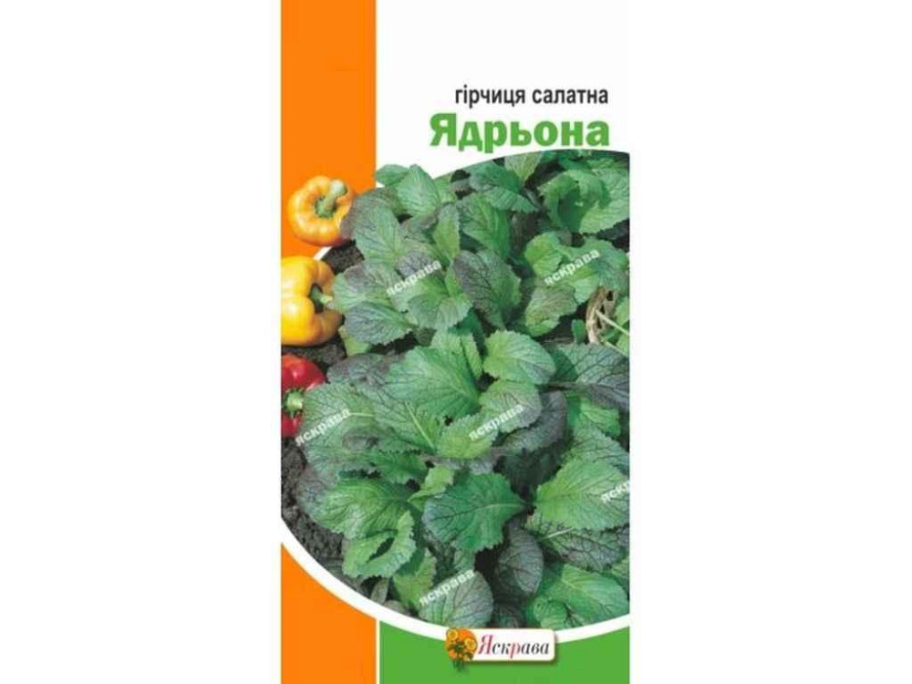 Горчица салатная Ядрьона (20 пачек) 1г ТМ ЯСКРАВА Киев - изображение 1