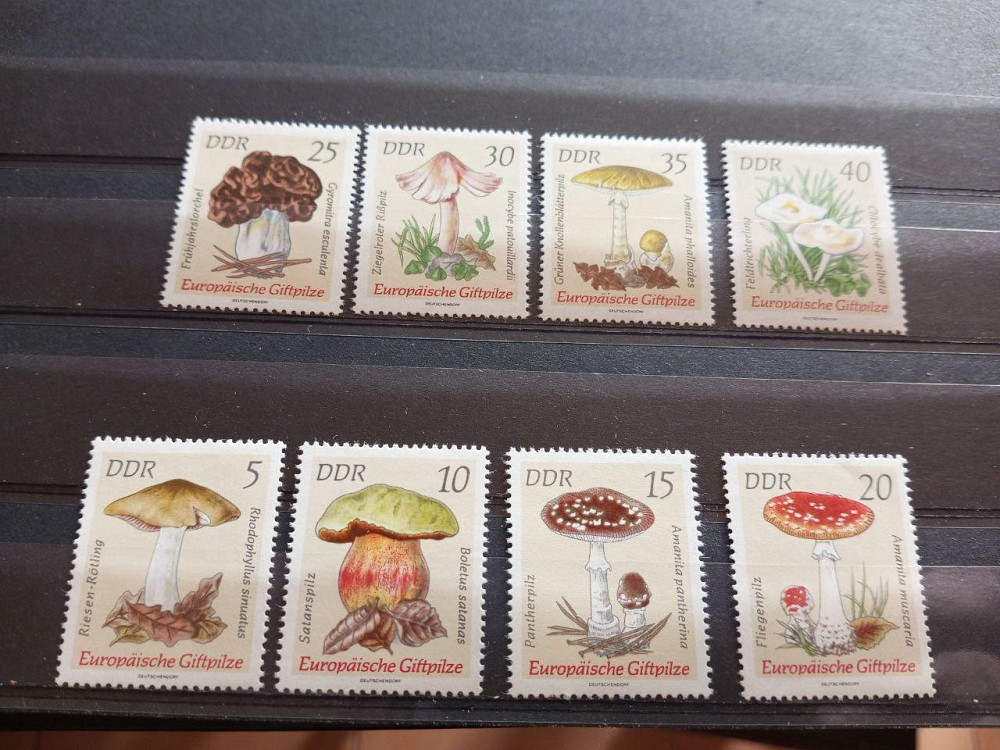 Германия ФРГ Німетчина. Марки Полтава - изображение 1