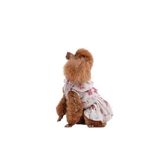 Плаття Pet Fashion Amelia для собак XS Київ