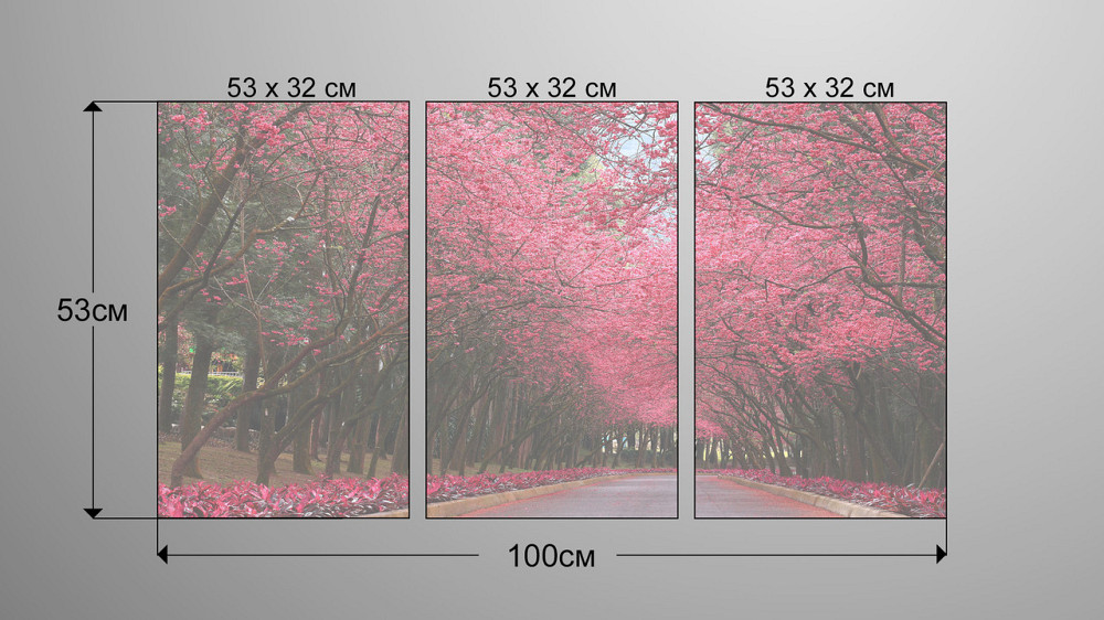 Модульна картина Парк Сакури Аrt-174_3А Київ - фото 3