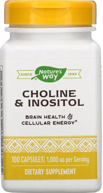 Холін та Інозитол Nature's Way Choline\Inositol 1000 мг 100 капс Київ - фото 1