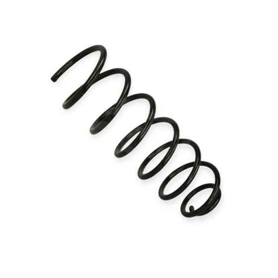 Пружина Opel Vectra B задняя Мукачево