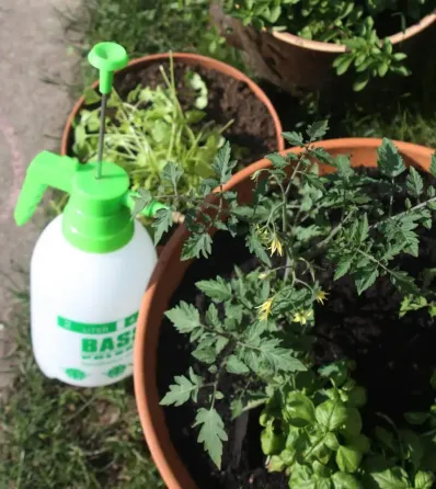 Опрыскиватель ручной напорный Bass Polska 8606 2л Киев