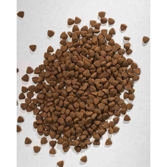 Сухой корм Half&Half для взрослых собак маленьких пород, с говядиной, 2 кг Винница