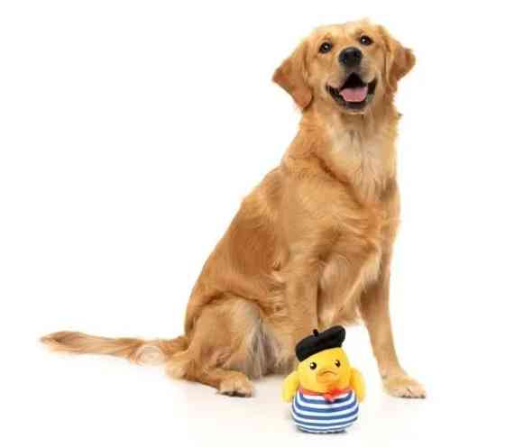 М'яка іграшка для собак FuzzYard Качечка Тімоті Чалаквак S Луцк