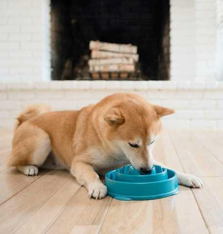 Миска лабіринт для повільного годування собак Outward Hound Fun Feeder Drop (Аутвард Хаунд Фан Фідер Дроп) Запоріжжя - фото 3