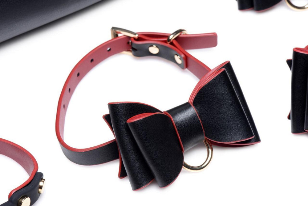 Набір БДСМ з дорожньою сумкою Master Series: Bow — Luxury BDSM Set With Travel Bag, 11 предметів Sex Aura Київ - фото 7