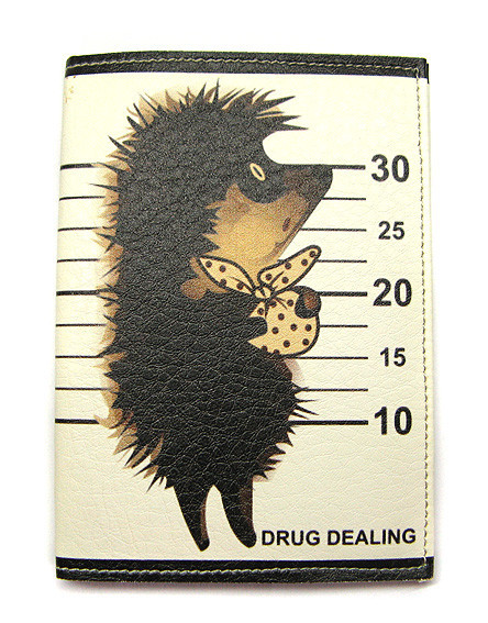 Обкладинка для паспорта 2020 Їжачок Київ - фото 1