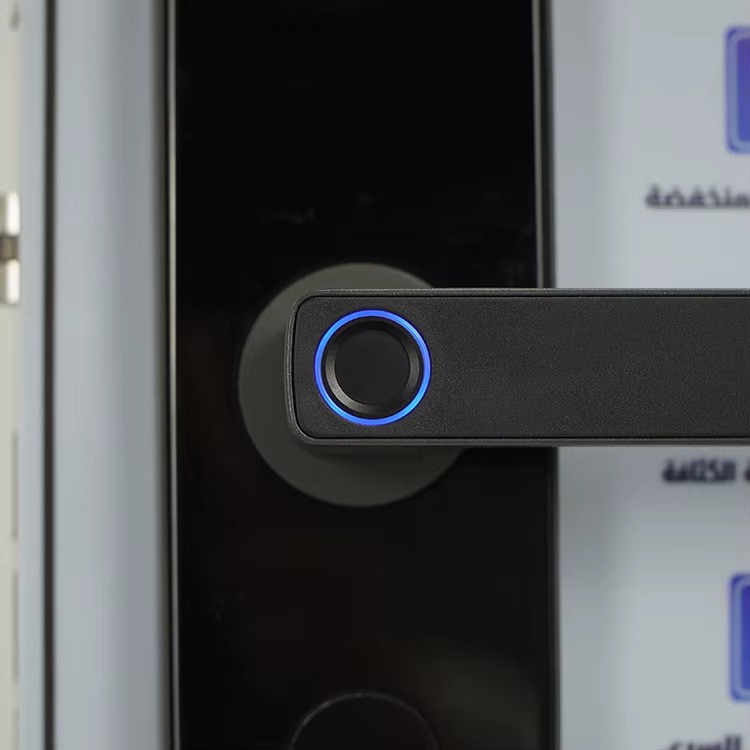 Смарт замок кодовий розумний дверний з дисплеєм KHS-D10F з розблокуванням по обличчю, відбитком пальця, ключ-картою Кам'янець-Подільський - фото 9