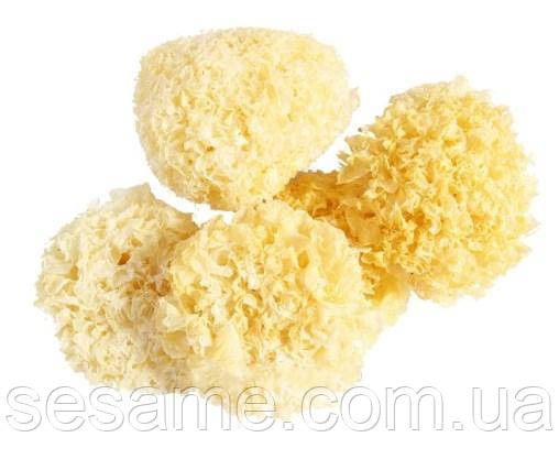 Коралловый гриб белый Фунгус, снежный гриб, серебряные ушки Shanyuan 1кг (Китай) Харьков - изображение 1