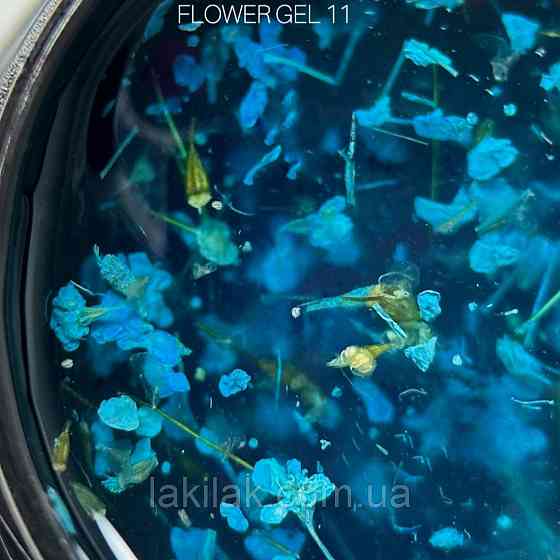 Гель з сухоцвітами SAGA Flower Gel №11 5мл Херсон