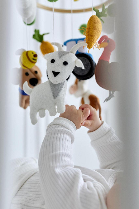 Дитячий мобіль на ліжечко для немовлят WoollyFox "Собака, коза, машинка, індик" Київ - фото 2